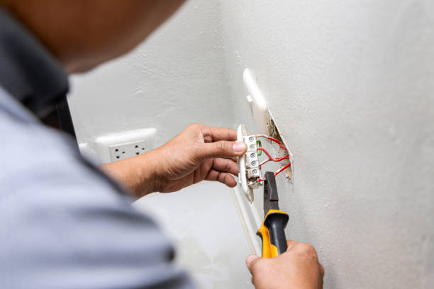 Best Ceiling Fan Installation Electrician  in Brownsville, FL