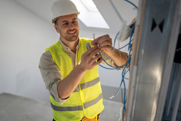 Best Electric Panel Repair  in Brownsville, FL